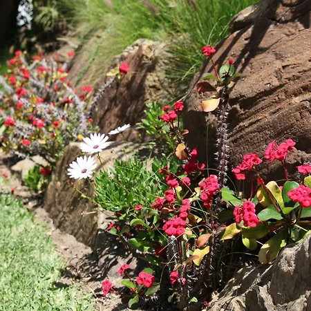 Apartamento In Jardines De Golondrinas